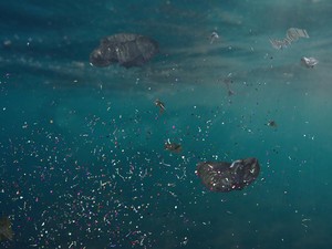 Plastik Bisa Bikin Air Jadi Beracun dan Membunuh Hewan, Wilayah Ini Buktinya