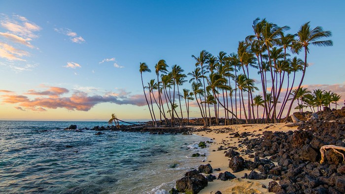 Ilustrasi Sungai tercemar berlokasi di Pulau Oahu Hawaii