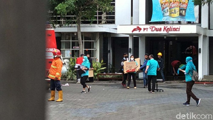 kebakaran di pabrik dua kelinci kebakaran di pabrik dua kelinci