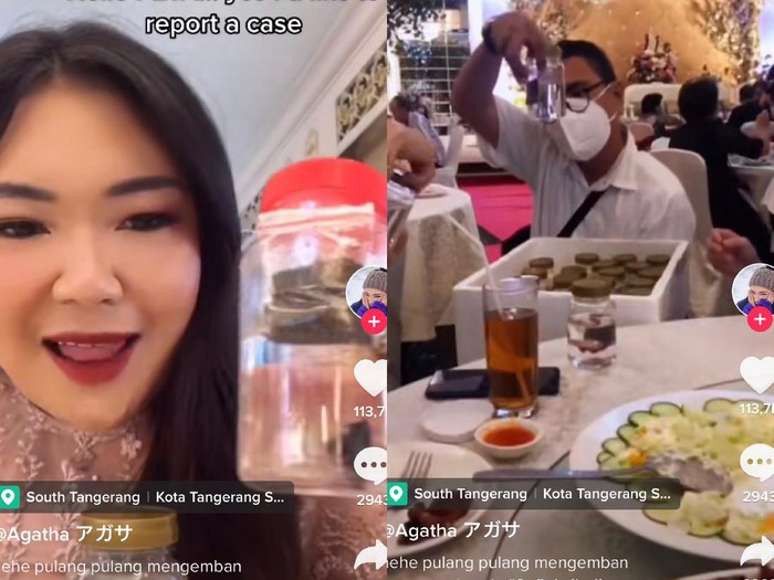 Kisah viral souvenir pernikahan ikan cupang. Kisah viral souvenir pernikahan ikan cupang.