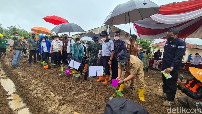 Lahan Telantar di Sukabumi Disulap untuk Tanam Pisang