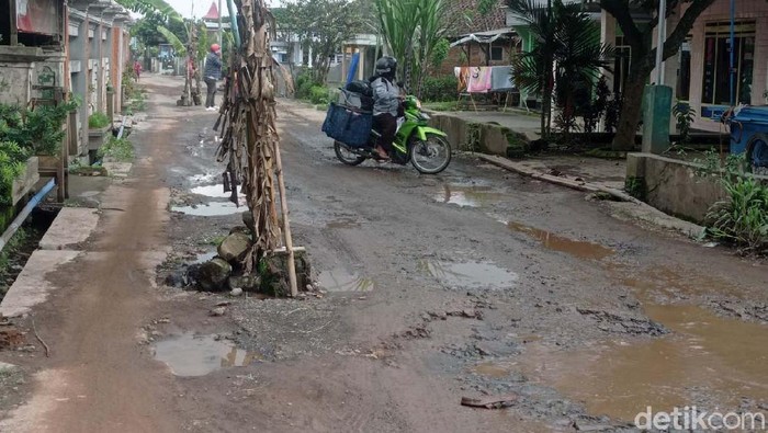 Penuh Lubang, Jalan di Malang Ini Ditanami Pohon Pisang Jalan antar desa di usun Plosokerep, Desa Dengkol, Kecamatan Singosari, Kabupaten Malang, rusak parah. Warga menanam pohon pisa di jalan tersebut sebagai bentuk protes.