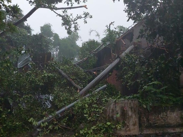 Hujan deras disertai angin kencang melanda Desa Kebontunggul, Kecamatan Gondang, Mojokerto. Satu orang tewas dalam peristiwa ini.