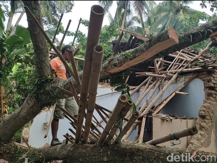 6 rumah warga di Pandeglang rusak tertimpa pohon tumbang