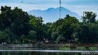 Gunung Salak juga tampak dari kejauhan.