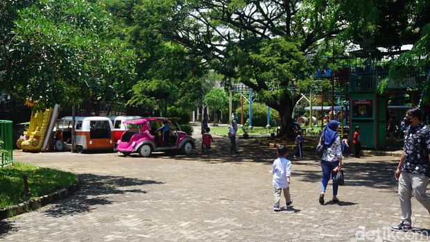 Cirebon Waterland Cirebon Waterland Ade Irma Suryani