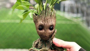 Desain pot lucu dengan karakter Groot.Foto: Bored Panda