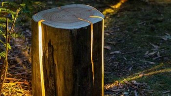 Lampu di dalam kayu yang keren. Foto: Bored Panda