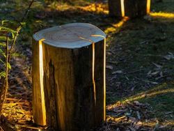 Deretan Desain Produk yang Keren dan Gak Kepikiran