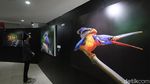 Intip Karya-karya Jepretan Solo Photo Festival 2021