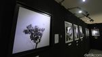 Intip Karya-karya Jepretan Solo Photo Festival 2021