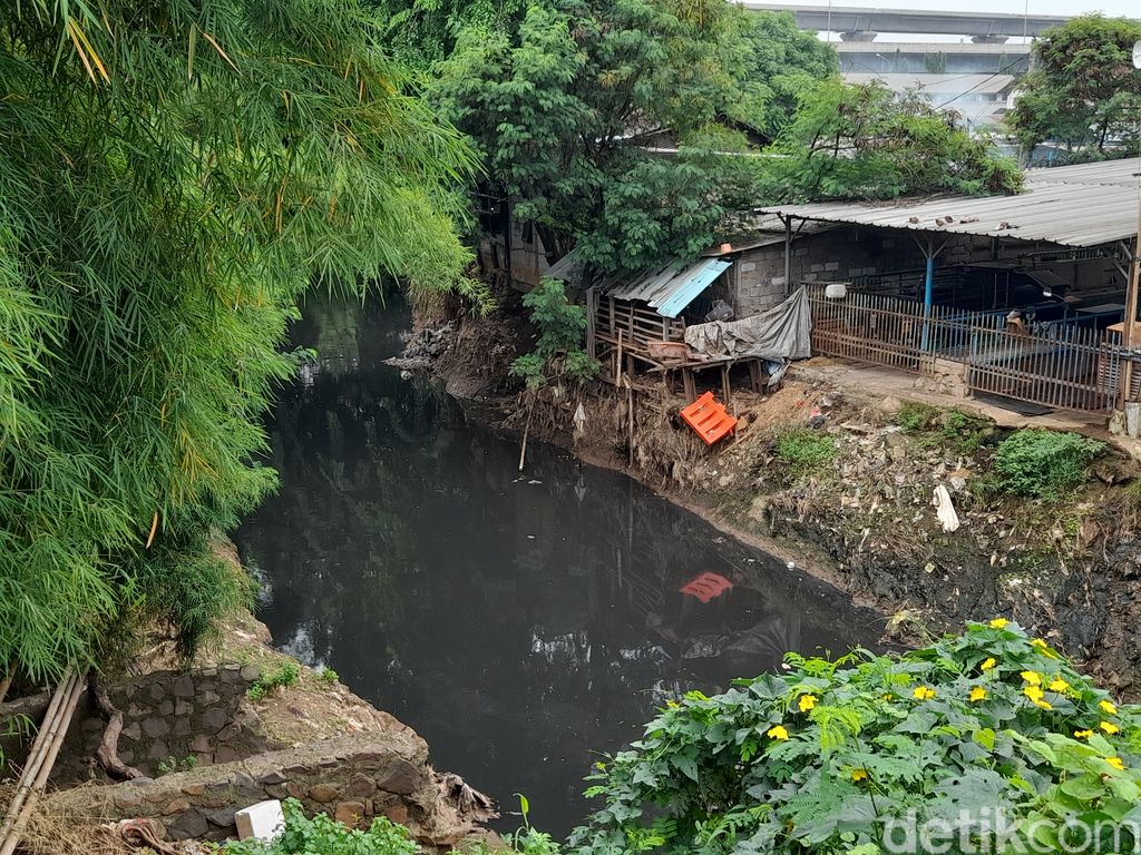 Kali Jambe pada aliran di belakang Rest Area KM 19 Tol Jakarta-Cikampek, dekat RPH Jatimulya, Kabupaten Bekasi, 24 November 2021. (Marteen Ronaldo Pakpahan/detikcom) Kali Jambe pada aliran di belakang Rest Area KM 19 Tol Jakarta-Cikampek, dekat RPH Jatimulya, Kabupaten Bekasi, 24 November 2021. (Marteen Ronaldo Pakpahan/detikcom)
