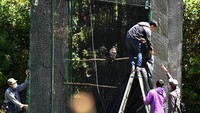 IUCN menyatakan bahwa populasi elang Jawa ini sangat sedikit dan kemungkinan akan terus berkurang akibat gangguan yang ada di habitat aslinya. Selain kerusakan habitat, perdagangan juga menjadi ancaman nyata, yakni sekitar 30 hingga 40 ekor diperdagangkan dalam setahun.  