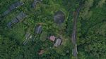 Kepak Sayap Elang Jawa di Hutan Kamojang