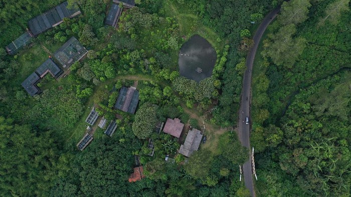 Kepak Sayap Elang Jawa di Hutan Kamojang Foto udara lokasi Pusat Konservasi Elang Kamojang di dataran tinggi Kamojang, Garut, Jawa Barat.