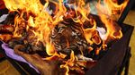 Kejari Aceh Musnahkan Barang Bukti Kulit Harimau