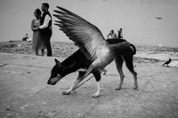 Street Photography Awards 2021