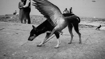 Finalis Subhran Karmakar Foto: Street Photography Awards