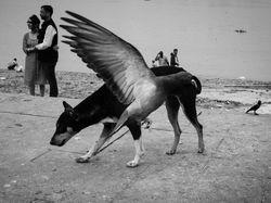 Karya Pemenang Street Photography Awards 2021 Bikin Terkesima