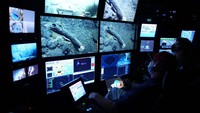 Potongan tubuh mammoth itu berada di kedalaman laut 10 ribu kaki, sekitar 185 mil dari lepas pantai. (Daarin Schulzt/MBARI)