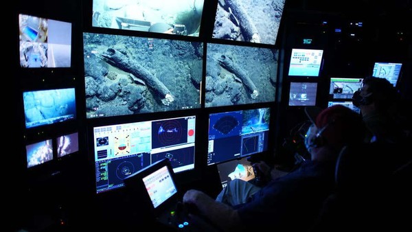 Potongan tubuh mammoth itu berada di kedalaman laut 10 ribu kaki, sekitar 185 mil dari lepas pantai. (Daarin Schulzt/MBARI) Potongan tubuh mammoth itu berada di kedalaman laut 10 ribu kaki, sekitar 185 mil dari lepas pantai. (Daarin Schulzt/MBARI)