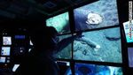 Foto: Gading Mammoth Ditemukan di Kedalaman Laut, Ilmuwan Kaget