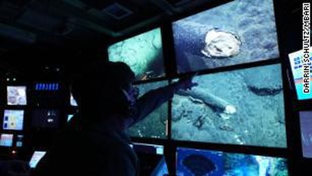 Waduh Gading Mammoth Ditemukan di Kedalaman Laut, Kok Bisa?
