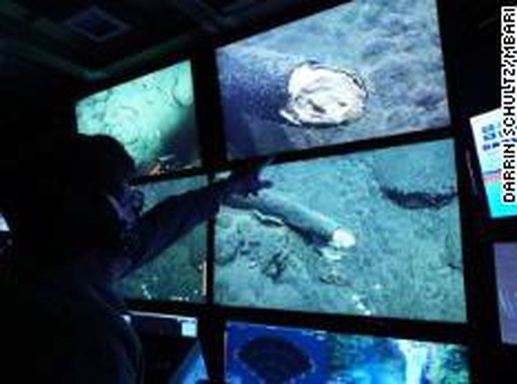 Foto: Gading Mammoth Ditemukan di Kedalaman Laut, Ilmuwan Kaget