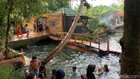 Aliran sungai Cibarengkok seakan memanggil traveler untuk menceburkan diri, begitu menyegarkan. (Luthfi hafidz/detikcom)
