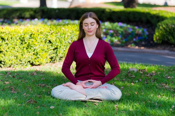 Falun Dafa Falun Dafa