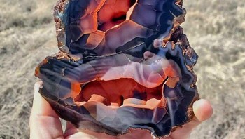 Batu Akik Kawah Patagonian yang Eksotis, Indah, dan Langka Hanya Ditemukan di Argentina. Foto: dok Bored Panda