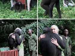 Hal Luar Biasa di Alam yang Tertangkap Kamera & Bikin Mata Terpukau