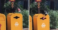 Hal yang Luar Biasa di Alam