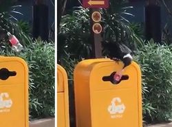 Hal Luar Biasa di Alam yang Tertangkap Kamera & Bikin Mata Terpukau