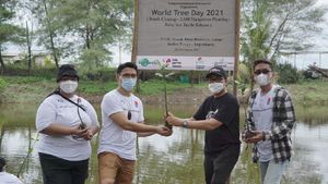 Harmonisasi Pelestarian Lingkungan di Desa Wisata
