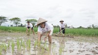 Memanfaatkan momentum World Tree Day 2021, Teleperformance Indonesia (TPID) menggelar kegiatan yang bertemakan “Harmonisasi Pelestarian LIngkungan dalam Pengembangan Desa Wisata”. 
