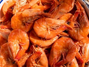 Ini Sebabnya Kepiting dan Udang Berwarna Merah Saat Direbus