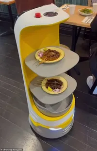 Keren! Resto Ayam Penyet di Sydney Ini Pakai Robot Sebagai Pelayan