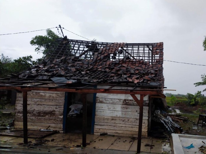 Hujan deras disertai angin kencang menerjang Desa Purisemanding, Kecamatan Plandaan, Jombang. Akibatnya, 24 rumah warga rusak dan satu orang terluka.