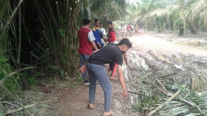 Siswa SMA Negeri 1 Pulau Rimau, Banyuasin, Sumsel, gotong royong perbaiki jalan berlumpur akses menuju ke sekolahnya. (Dok. Istimewa)