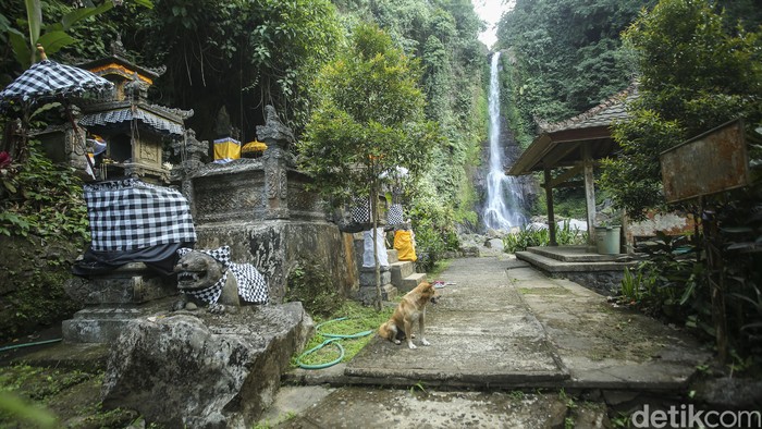 Air Terjun Gitgit