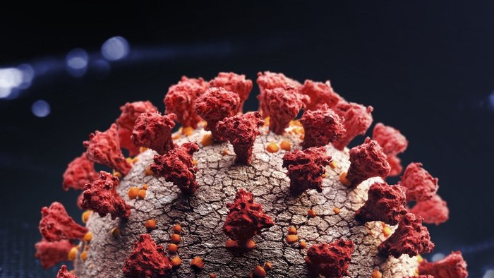 Covid-19: Varian baru virus corona B.1.1.529 di Afsel, apa yang diketahui sejauh ini?