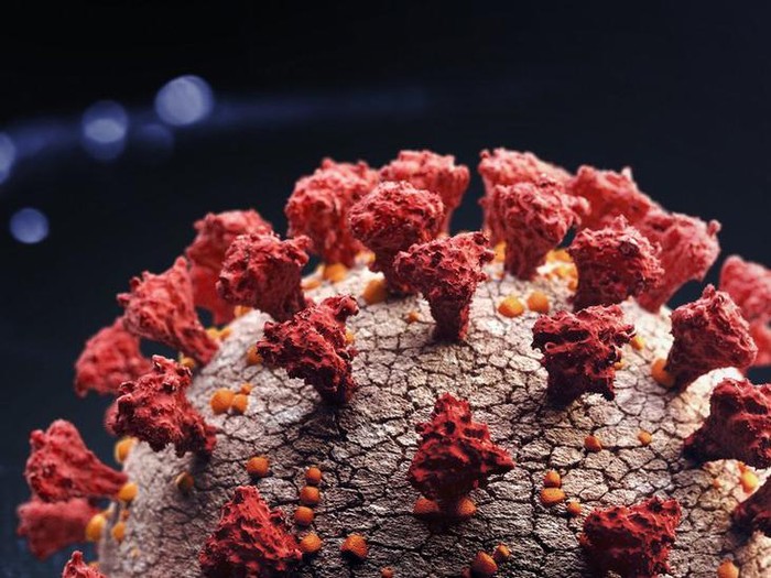 Covid-19: Varian baru virus corona B.1.1.529 di Afsel, apa yang diketahui sejauh ini?