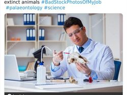 Netizen Bagikan Foto Ilustrasi yang Bikin Ngakak Parah