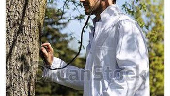 Mungkin pohon ini punya detak jantung. Foto: Twitter via Boredpanda