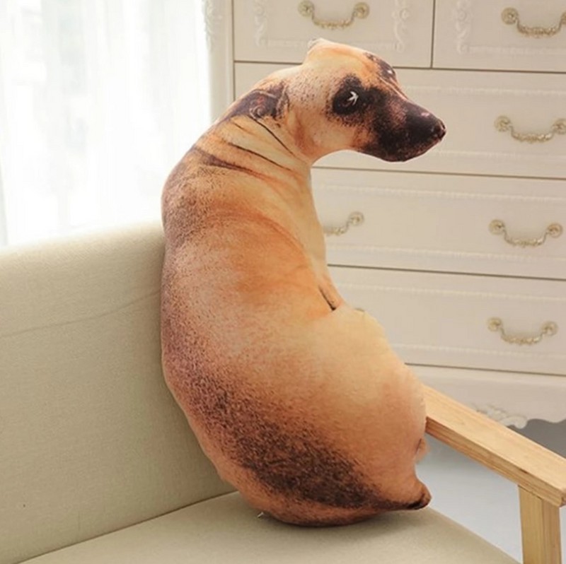 Fotoinet desain produk lucu dan kreatif