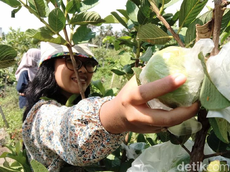 Gaet Wisatawan, Dinparbud Purworejo Gelar Uji Paket Wisata