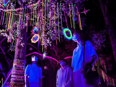 Nikmati Keindahan Instalasi Cahaya di Tengah Hutan Djuanda Bandung