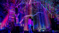 Sembilan Matahari bersama The Lodge Maribaya dan bekerja sama dengan Taman Hutan Raya Djuanda Bandung membuat proyek seni Hutan Menyala: Tahura Djuanda yang dibuka sejak awal Oktober 2021.  Foto: Courtesy of Hutan Menyala/ Instagram