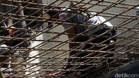 Pembongkaran kafe ini telah berlangsung sejak Kamis (25/11).